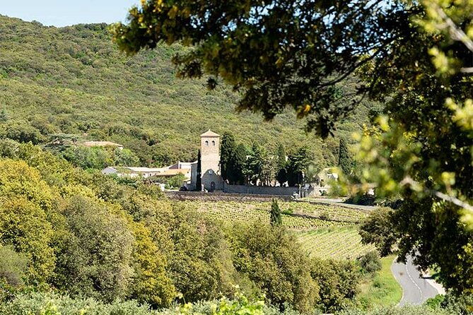 visit-to-vineyards-and-tastings-departing-from-beziers