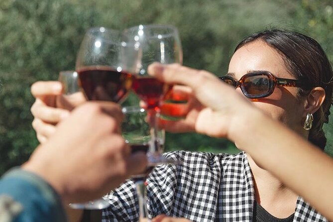 visit-to-vineyards-and-tastings-departing-from-beziers