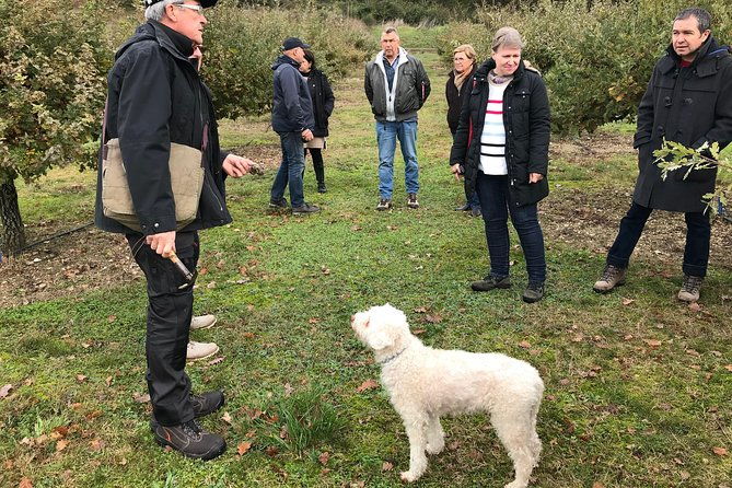 visit-truffle-fields-and-hunt-with-a-dog-in-all-seasons-2