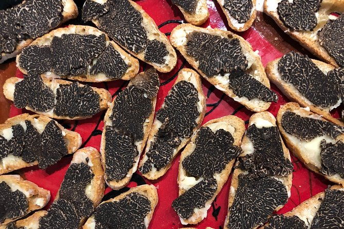 visit-truffle-fields-and-hunt-with-a-dog-in-all-seasons-2