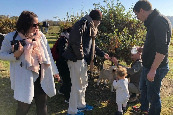 visit-truffle-fields-and-hunt-with-a-dog-in-all-seasons