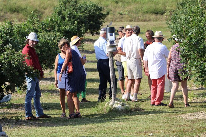 visit-truffle-fields-and-hunt-with-a-dog-in-all-seasons