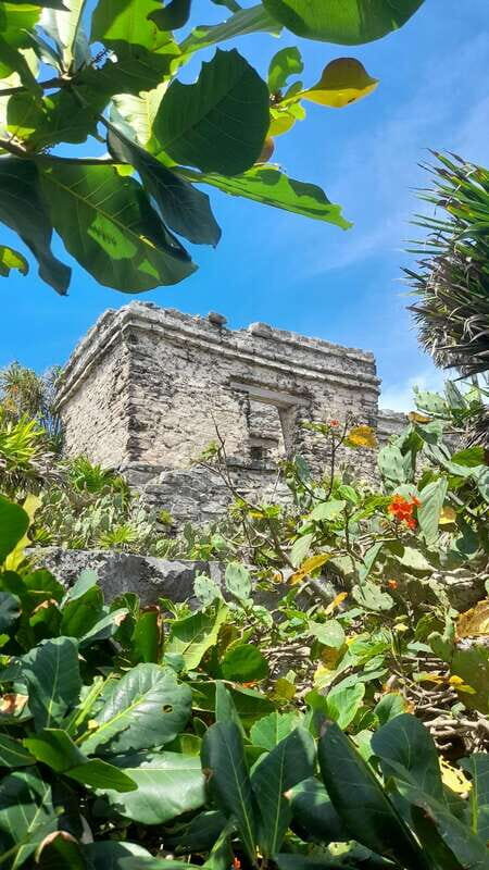 Visit Tulum without crowds, and relax in a cenote! - FAQ