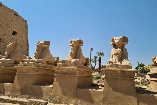 Visit Valley of Kings ,Karnak & Hatshepsut Temples from Hurghada - Is It Worth It? Analyzing the Value