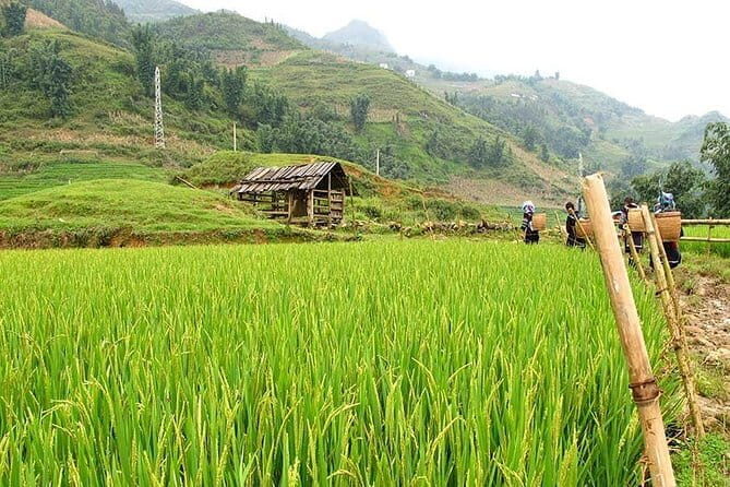 Visit Villages in Sapa and Hot Spring with easy riders full day - FAQ
