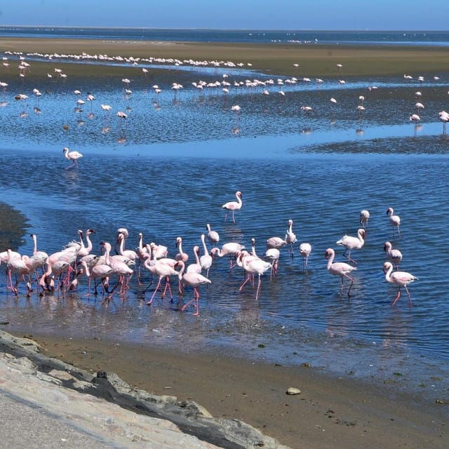 visit-walvis-bay-and-swakopmund-transport-and-tour