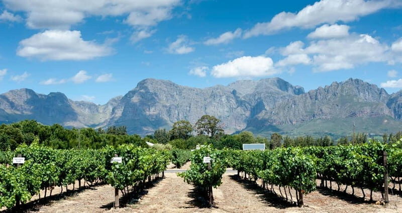 Visit winery in guadalest - Key Points  
