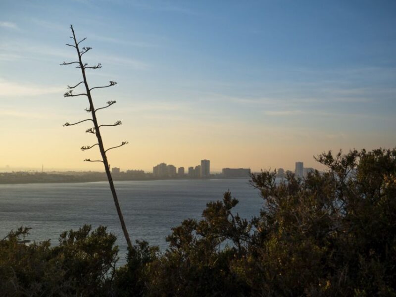 Visita al Faro de Cabo de Palos - FAQ
