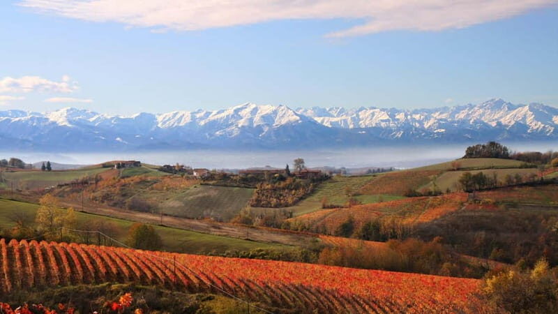 Visita guidata e Degustazione vini Monforte d'Alba - The Itinerary in Detail: What to Expect