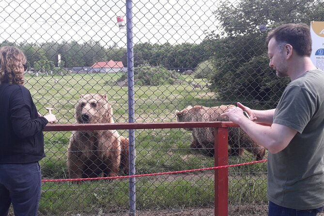 visiting-a-bear-and-wolf-sanctuary