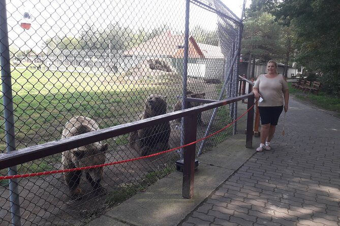 visiting-a-bear-and-wolf-sanctuary