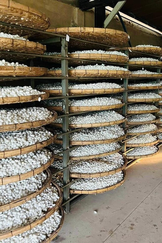 Visiting Silk Factory & Coffee - Scenic Beauty and Coffee Tasting