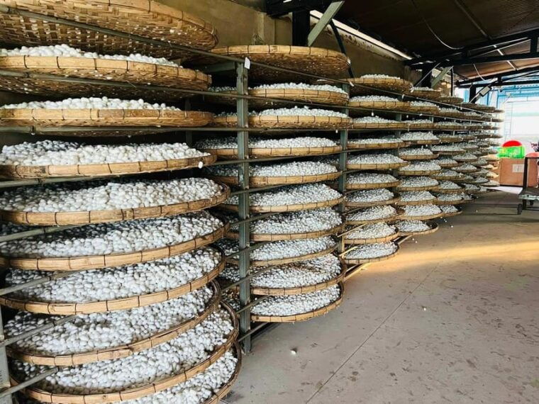 visiting-silk-factory-coffee