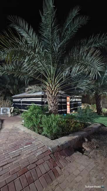 Visiting Site for Horses of Medinah - Key Points