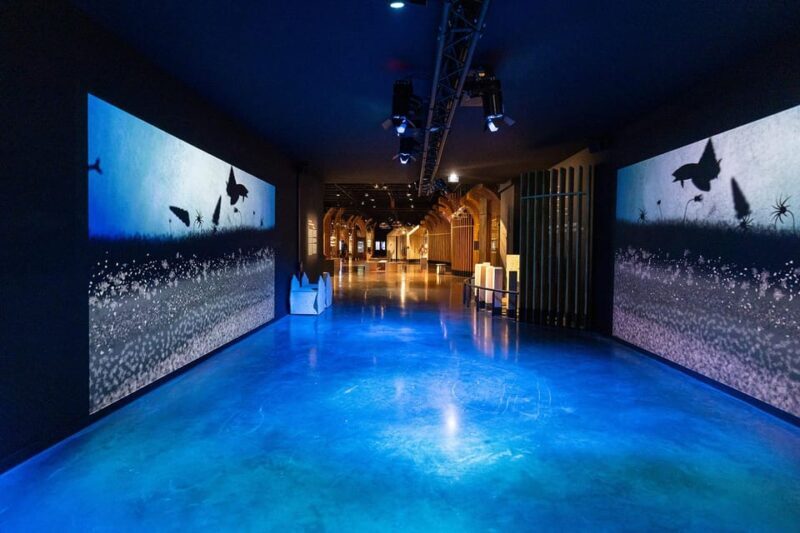 Visitor trail of the Cité in Beaune - An honest look at this Burgundy-themed experience
