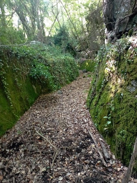 viterbo-palanzana-mountain-hike-natural-reserve