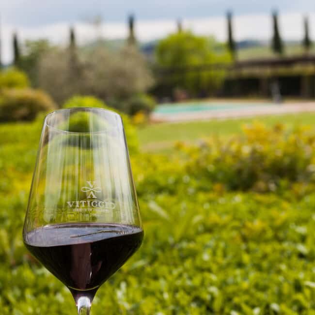 Viticcio tasting experience - Viticcio Tasting Experience: A Genuine Taste of Tuscany