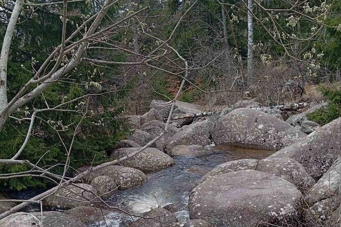 vitosha-mountain-heritage-and-hiking-private-day-trip