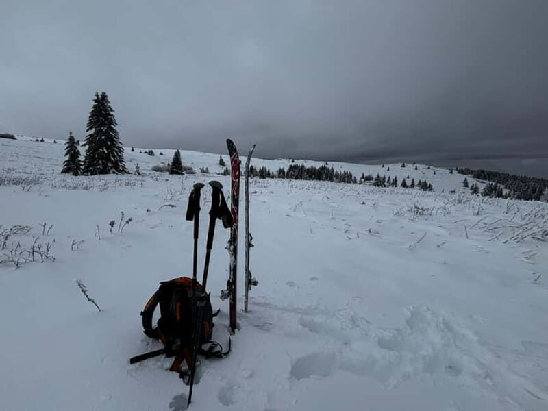 Vitosha: Ski Day Trip by Mountain Stars Ski School - An Introduction to the Vitosha Ski Trip Experience
