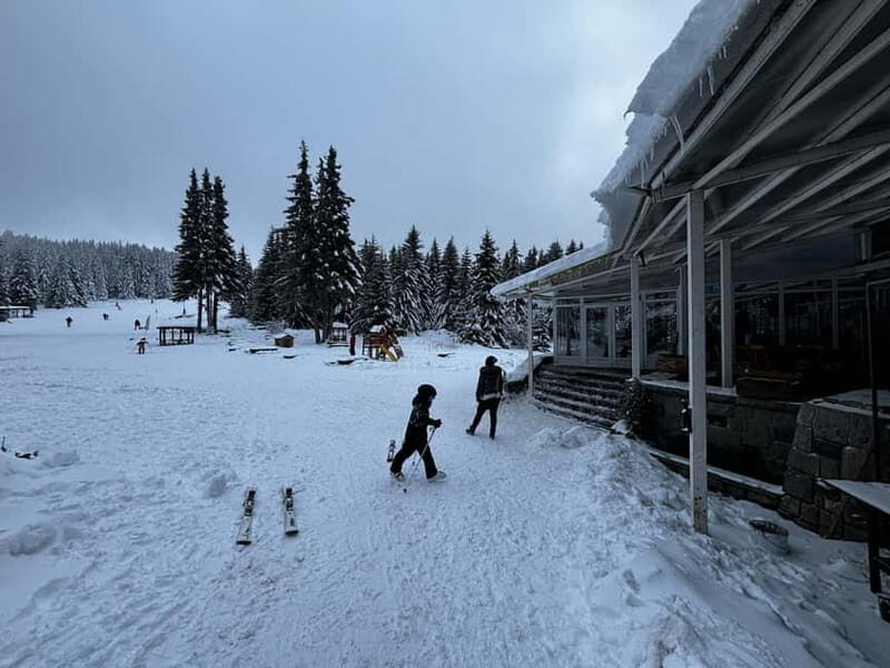 Vitosha: Ski Day Trip by Mountain Stars Ski School - What to Expect from the Tour