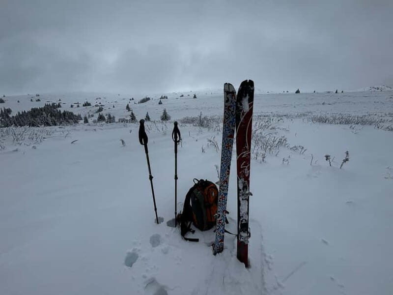 Vitosha: Ski Day Trip by Mountain Stars Ski School - Practical Tips for Your Trip