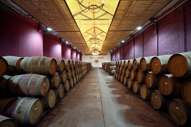viu-manent-and-montes-winery-colchagua-valley-from-semi-private