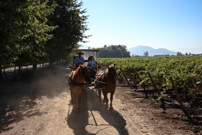 viu-manent-and-montes-winery-colchagua-valley-from-semi-private