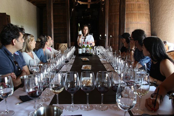 viu-manent-and-montes-winery-colchagua-valley-from-semi-private