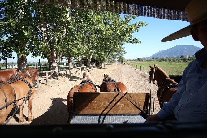 viu-manent-and-montes-winery-colchagua-valley-from-semi-private