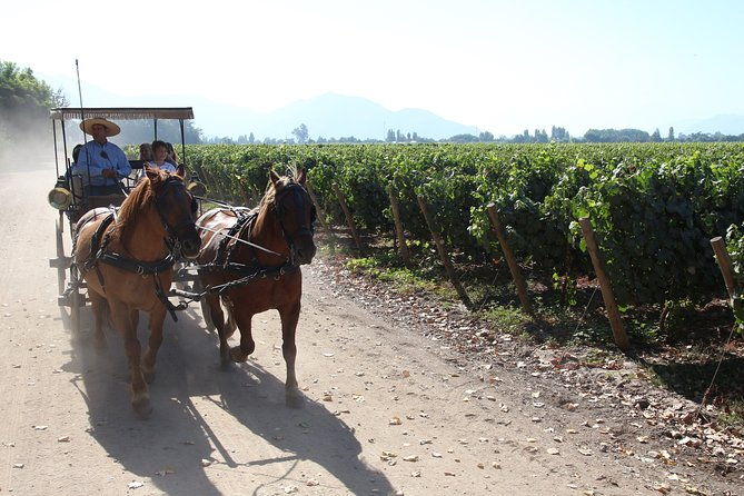viu-manent-and-montes-winery-colchagua-valley-from-semi-private