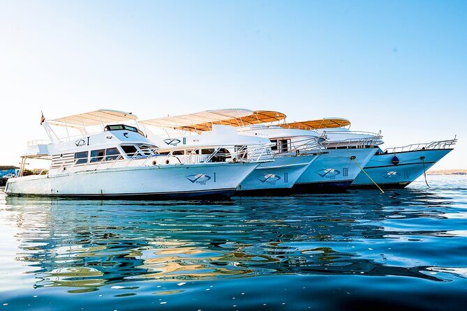 Viva Egypt hurghada Hula Hula Island & Lunch & Water sports 3*1 - Key Points