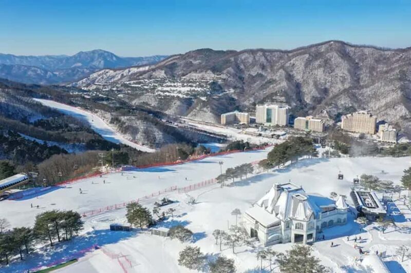 Vivaldi Park - Private Ski Lesson - Key Points