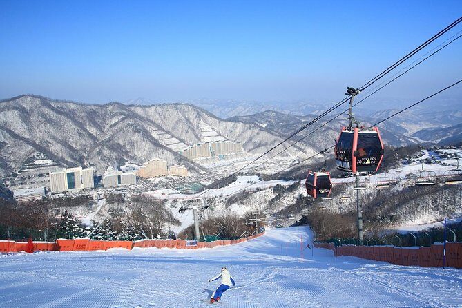 Vivaldi Park Winter Ski Resort with Nami Island Tour from Seoul - Experience Review: Vivaldi Park Winter Ski Resort with Nami Island Tour from Seoul