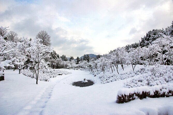 Vivaldi Park Winter Ski Resort with Nami Island Tour from Seoul - FAQ