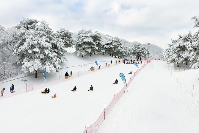 Vivaldi Park Winter Ski Resort with Nami Island Tour from Seoul - Final Thoughts