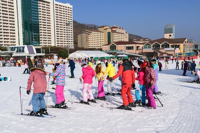 Vivaldi Park Winter Ski with Eobi Ice Valley Day Tour from Seoul - Final Thoughts