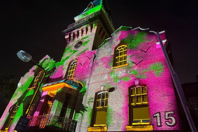 Vivid Sydney Walking Tour Lights, Stories and Secret Spots - The Value for Money