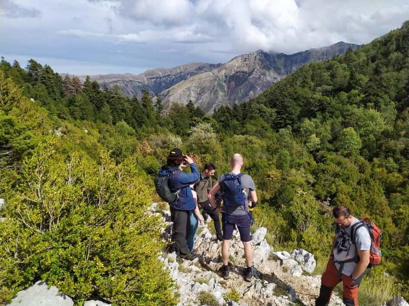 Vlore : Llogara National Park Infocenter to Deep Neck - Who Should Consider This Tour?