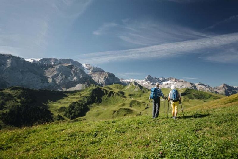 Vogellisi Mountain: Easy Panoramic Flower Trail Hike - An In-Depth Look at the Vogellisi Mountain Flower Trail