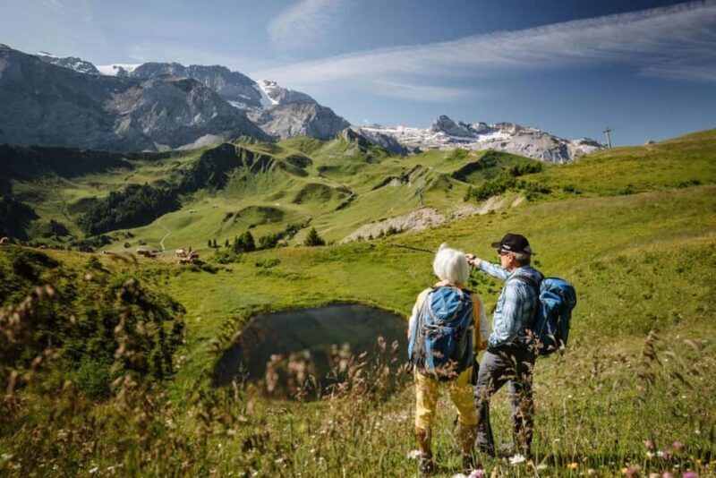 Vogellisi Mountain: Easy Panoramic Flower Trail Hike - Who Will Enjoy This Trail Most?
