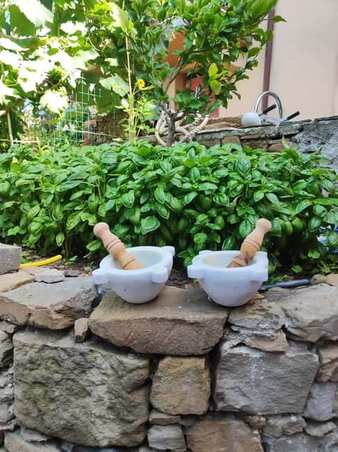 Volastra: BarCa Wine Tasting in Cinque Terre and Pesto Class - Key Points