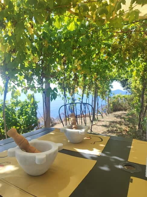 Volastra: BarCa Wine Tasting in Cinque Terre and Pesto Class - Making Your Own Perfect Pesto