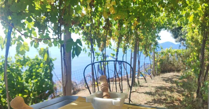 Volastra: BarCa Wine Tasting in Cinque Terre and Pesto Class - Practical Details and What to Expect