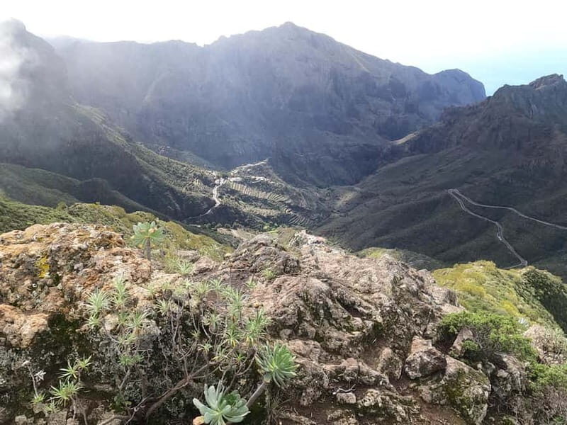 Volcanes, Viñedos y Laurisilva  Santiago del Teide - Practical Details and What to Bring  