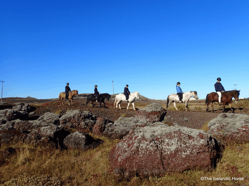 volcanic-landscape-iceland-horse-riding-tours