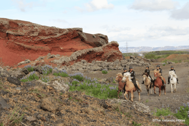 volcanic-landscape-iceland-horse-riding-tours