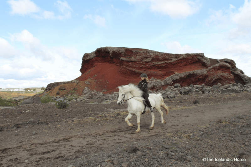 volcanic-landscape-iceland-horse-riding-tours