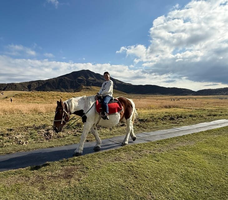 Volcanic Wonders: Private and helicopter Tour to Mount Aso - Key Points