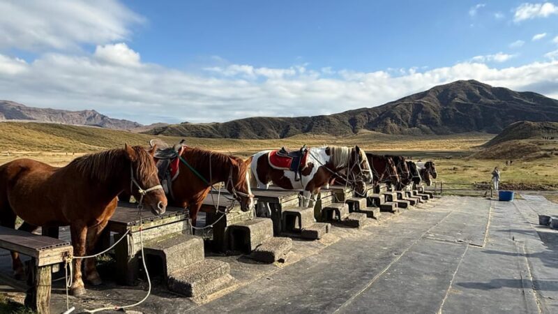 Volcanic Wonders: Private and helicopter Tour to Mount Aso - Who Will Love This Tour?