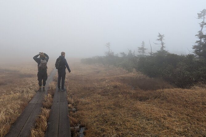 Volcanic Wonders & Scenic Trails - Who Will Love This Tour?